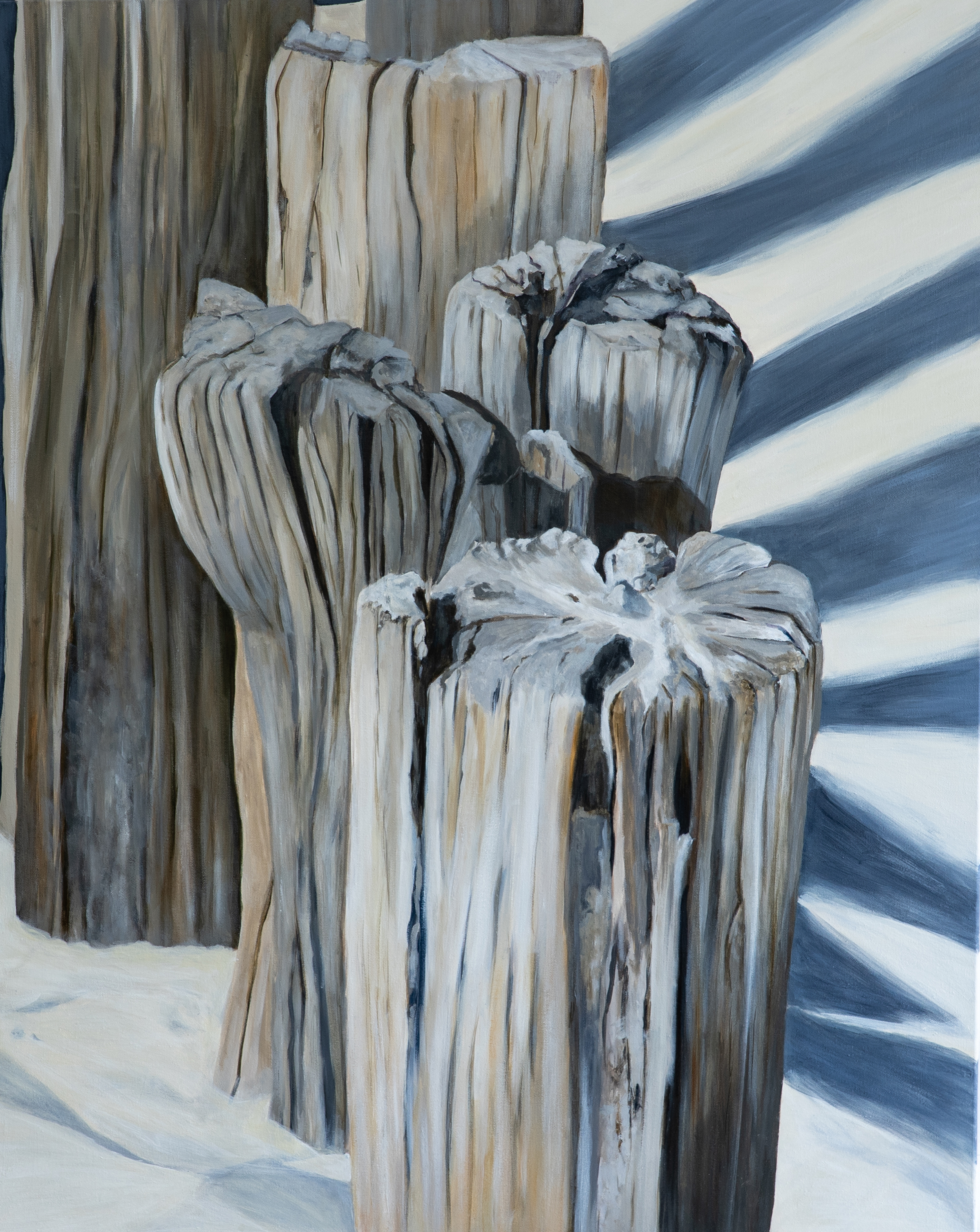 Alte Buhnen von Wölwer, Sabina