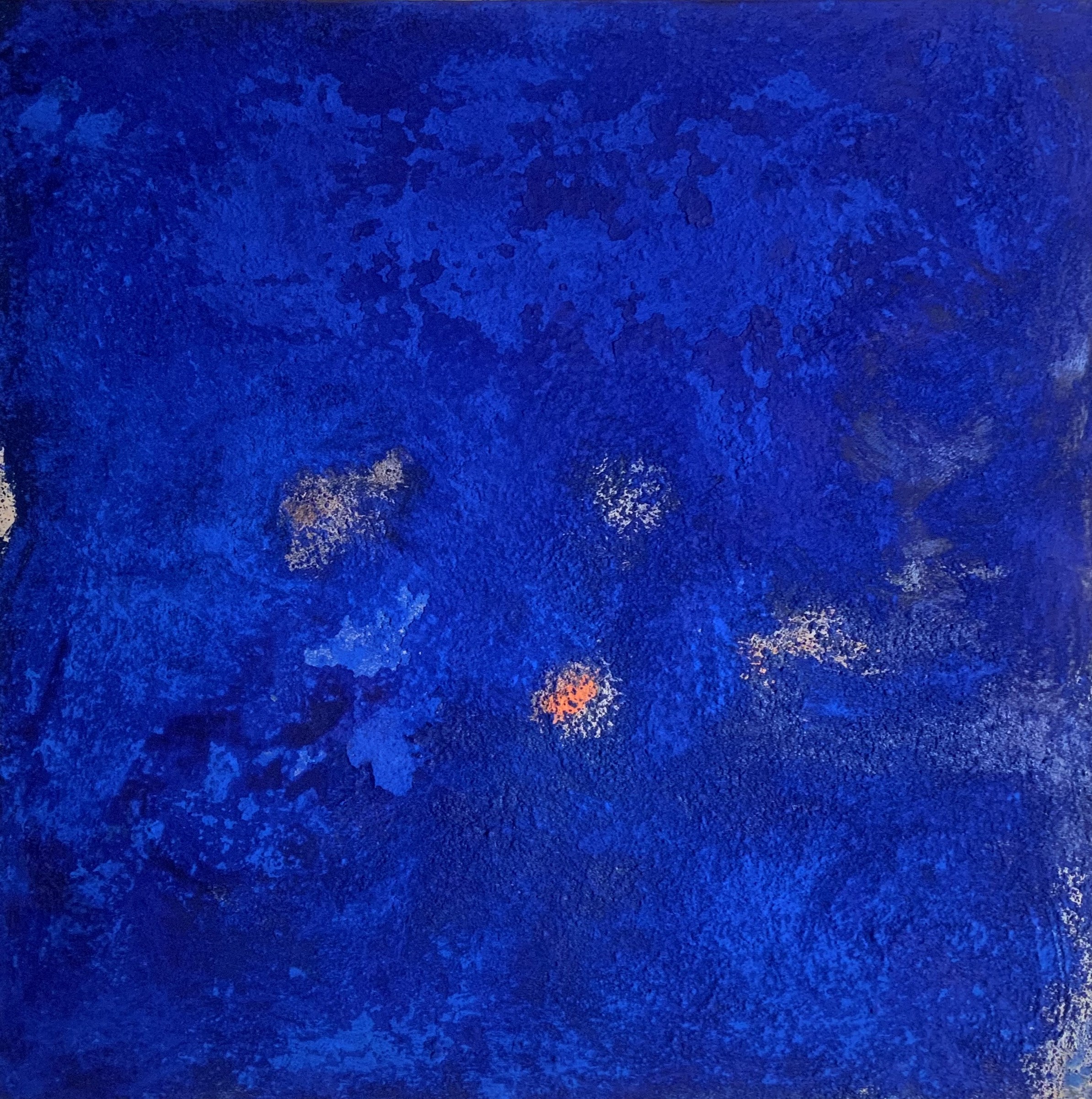 Blue Salmon Spots von Kleinert, Isabel Blue Salmon Spots von Kleinert, Isabel