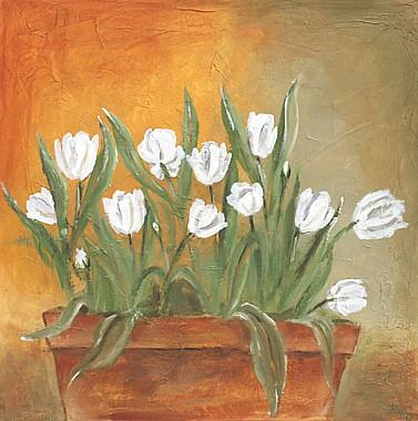 Tulpentopf von Timmler, Kathy