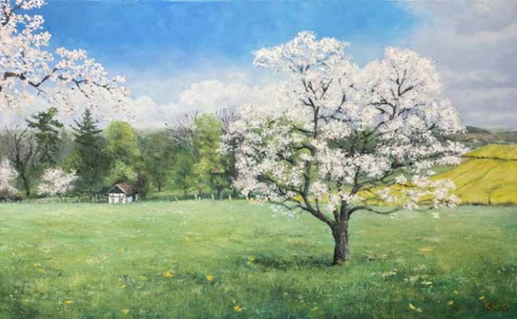 Kirschblüten in Liebenburg von Hansen-Gluschitz, Katharina 