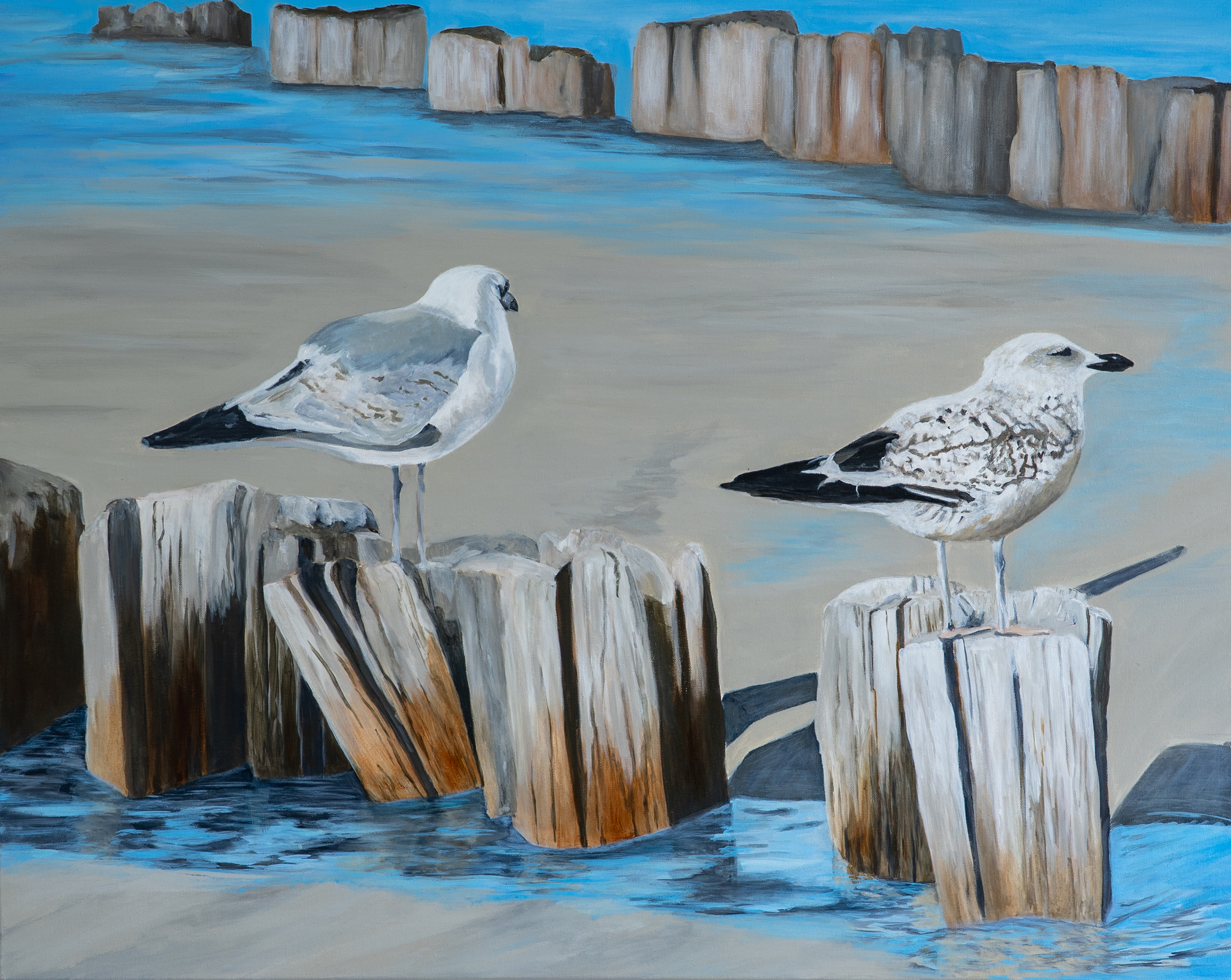 Möwen  von Wölwer, Sabina