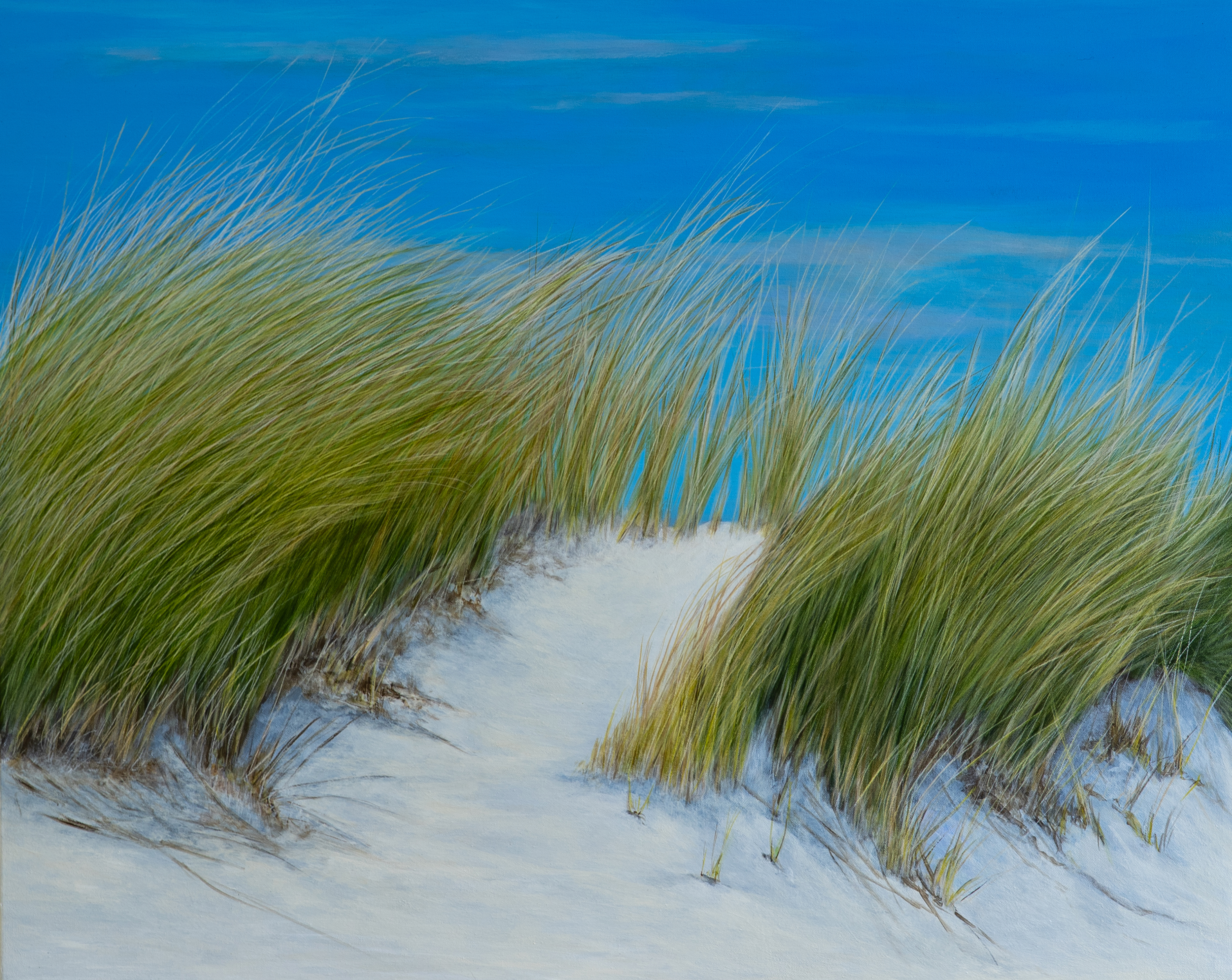 Windspiel in den Dünen von Wölwer, Sabina