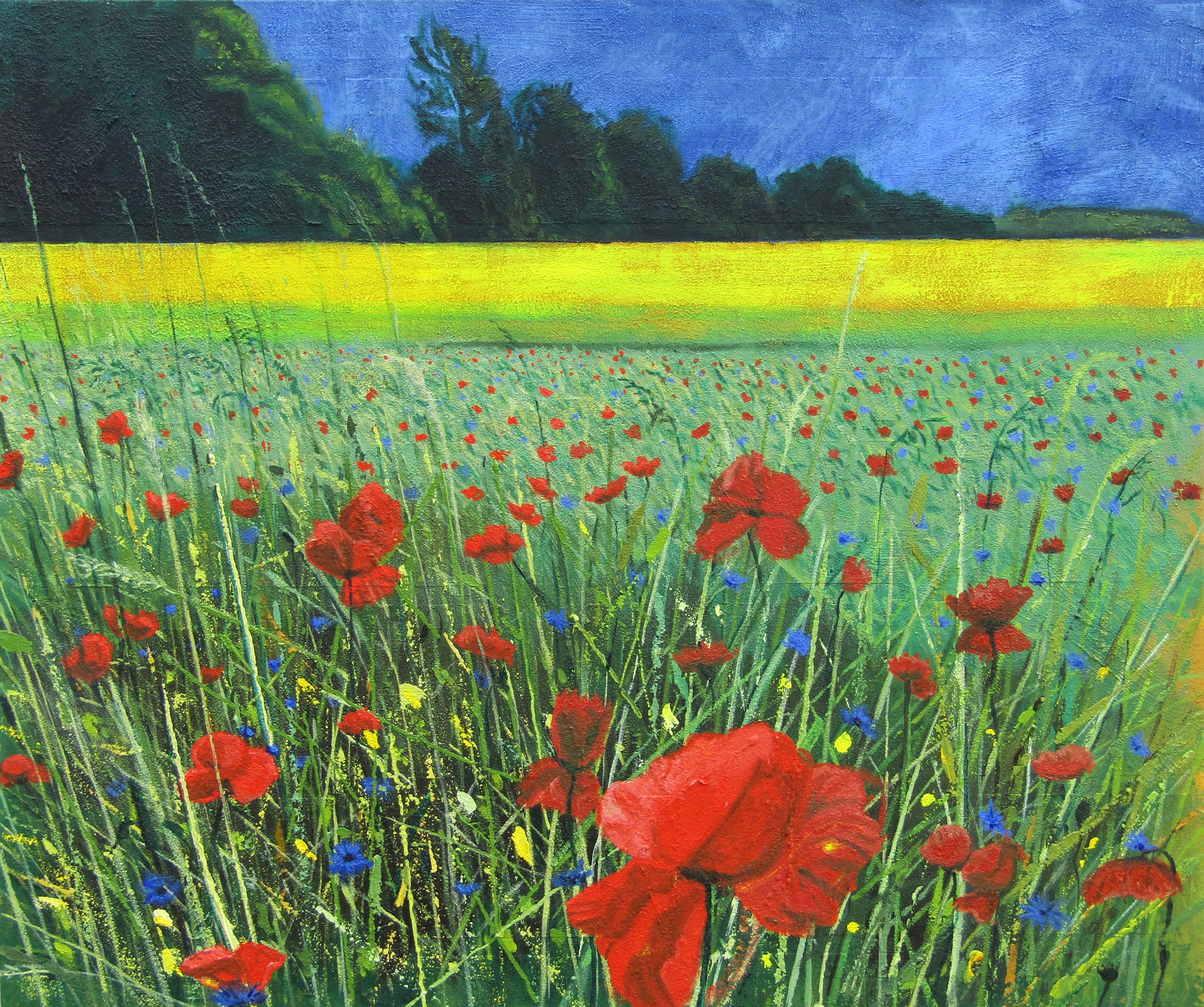 Raps und Mohn von Albin Rebuz